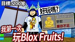 【有感筆電】這是ROBLOX最多人玩的遊戲！觀眾推薦我玩的Blox Fruits 海賊王！(也會一起玩Doors)【直播】