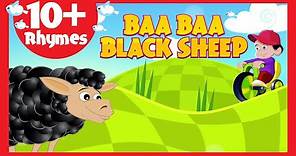 Baa Baa Black Sheep (10+ Rhymes) - Kids Poems In English