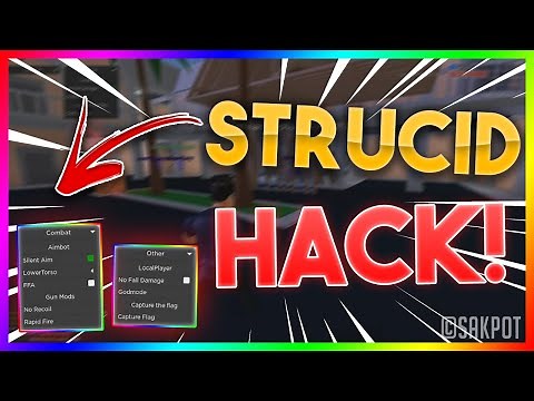 roblox stuctid hacks