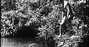 The New Adventures of Tarzan (1935) BRUCE BENNETT