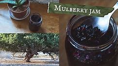 How to make Black Mulberry Jam