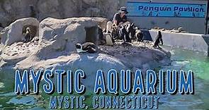 A Visit to Mystic Aquarium, Mystic, Connecticut. September 2021.