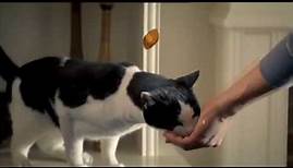 Dreamies Katzen Snacks davon träumt jede Katze TV Werbung