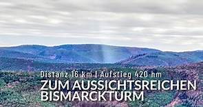 Zum aussichtsreichen Bismarckturm bei Bad Dürkheim | Wandern in der Pfalz