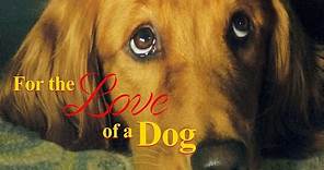 For the Love of a Dog | FULL FAMILY MOVIE
