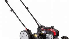 Black Max 21-inch 125cc Gas Push Mower with Briggs & Stratton Engine (Assembled Product Weight 46.9 lb; 22.10-inch Height)