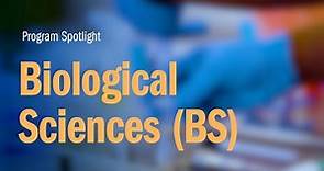 Biological Sciences (BS) | Webster University