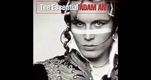 Desperate But Not Serious - Adam Ant