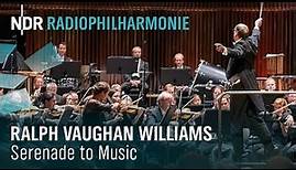 Ralph Vaughan Williams: Serenade to Music | Andrew Manze | NDR Radiophilharmonie