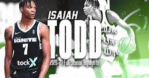 Isaiah Todd G-League Ignite 2020-21 Full Season Highlights | 13.3 PPG 4.9 RPG 43.7 FG% #Bucks