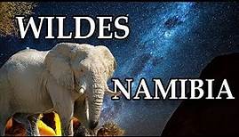 WILDES NAMIBIA - Von der Wüste über das Meer in die Savanne 4k | Tierfilm Doku