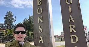 Crespi Bonsai : il negozio specializzato nella vendita e manutenzione di Bonsai più bello al mondo!