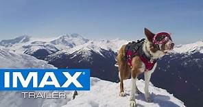 Superpower Dogs IMAX® Teaser Trailer