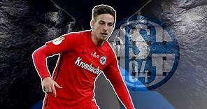 BASTIAN OCZIPKA | Welcome to Schalke - Skills, Tackles & Assists - 2017 (HD)