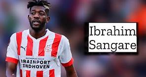 Ibrahim Sangare | Skills and Goals | Highlights