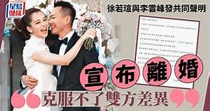 徐若瑄離婚丨徐若瑄與李雲峰發共同聲明宣布離婚：克服不了雙方差異