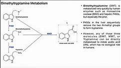 Dimethyltryptamine [DMT] | Biosynthesis, Mechanism, & Metabolism