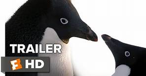 Penguins Trailer #1 (2019) | Movieclips Indie