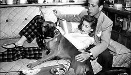 Humphrey Bogart and Lauren Bacall- Collide