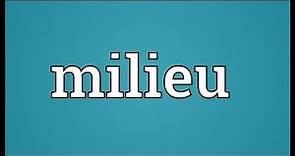 Milieu Meaning
