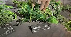台灣博物館恐龍展覽 - 拍攝：JLIAACEA