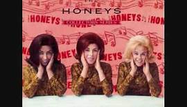 The Honeys - Goodnight My Love (1969)