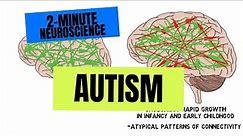 2-Minute Neuroscience: Autism