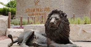 A visit to Lincoln Park Zoo in Chicago, IL