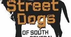 Street Dogs of South Central (2013) Online - Película Completa en Español - FULLTV