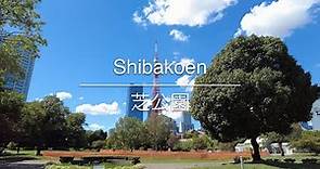 [4K] Shibakoen 芝公園 [Tokyo 東京] [Walk 散歩] #716