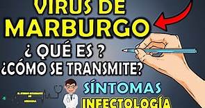 ¿Qué es el VIRUS DE MARBURGO?⚡TODO LO QUE DEBES CONOCER sobre la Enfermedad por el MARBURG VIRUS 🦇🐒