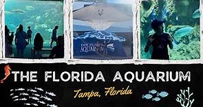 The Florida Aquarium Tampa FULL TOUR | Visiting The Florida Aquarium | Full 4K Tour and Walkthrough