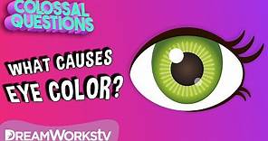 Why Are There Different Eye Colors? | COLOSSAL QUESTIONS