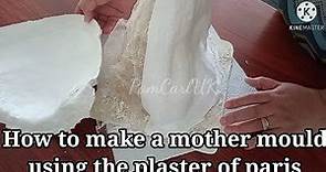 HOW TO MAKE A PLASTER OF PARIS MOLD