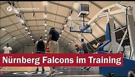 Vor dem Saisonauftakt: Die Nürnberg Falcons im Training