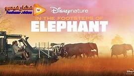 مشاهدة فيلم In the Footsteps of Elephant 2020 فشار فيديو