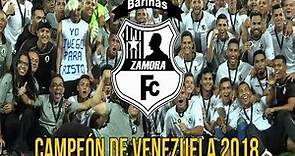 ¡Zamora FC es campeón de la Temporada 2018!