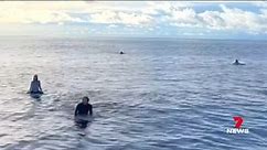 Incredible moment Australian surfers rescued in Indonesia