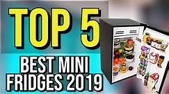 ✅ TOP 5: Best Mini Fridge 2019