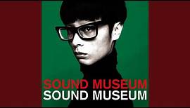 THE SOUND MUSEUM