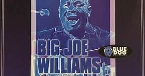 Big Joe Williams - Sugar Mama