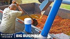 How Millions Of Pounds Of Coffee Are Processed At Hawaiian Coffee Farms | Big Business