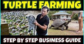 Turtle farming | Tortoise Farming Business Guide