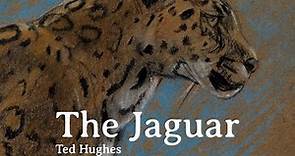 Poem Analysis: 'The Jaguar' by Ted Hughes