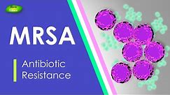 MRSA | Methicillin Resistant | Staphylococcus aureus | Antibiotic Resistance | Basic Science Series