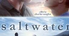 Saltwater (2012) Online - Película Completa en Español / Castellano - FULLTV