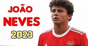 João Neves - The Next Big Midfielder Skills And Goals| 2023