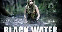 Black Water streaming: where to watch movie online?