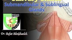 Submandibular and Sublingual Glands