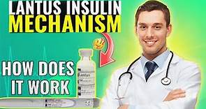 Lantus Insulin Mechanism of Action: How Does It Work?